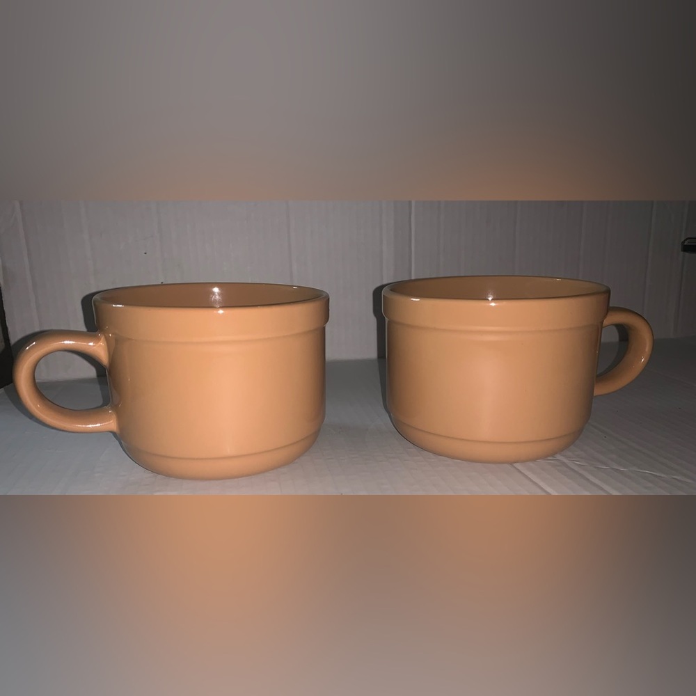 Trisa Tan Soup Mugs set of 2 NEW